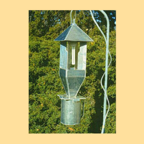 Insect light trap