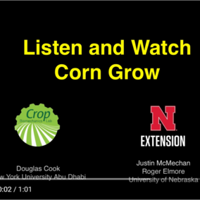 Slide promoting Listen to corn grow time lapse video