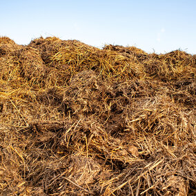 A large compost pile made of straw and organic materials sits under a clear blue sky in a rural area, contributing to sustainable farming practices.