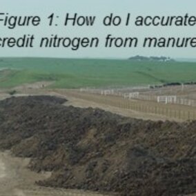 How do I accurately credit nitrogen from manure?