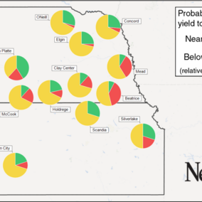 Yield probabilities for irrigated corn, July 13, 2016. 