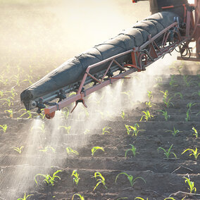 tractor applying nitrogen to corn field