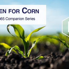 Wide-angle photo of young corn seedlings emerging from dark soil under a blue sky, with a translucent nitrogen symbol graphic and text reading “Nitrogen for Corn: NebGuide G2365 Companion Series,” plus the red Nebraska N logo in the corner.