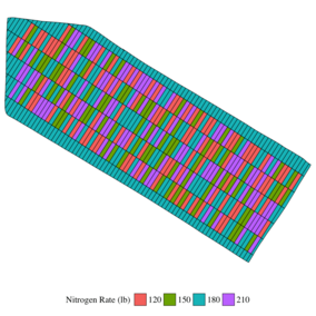 Example of a randomized experiment design