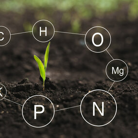 Soil nutrients