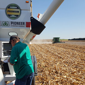 Figure 1. Extension Educator Gary Lesoing examines harvest data at one of the many on-farm research trials being conducted across the state. (Photo by Laura Thompson)