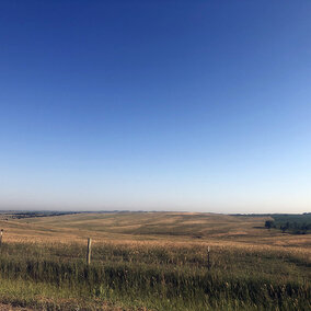 Pasture landscape