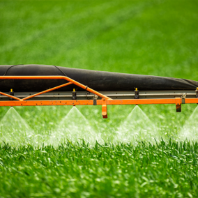 Closeup of pesticide application on wheat field