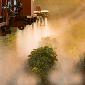 Soybean pesticides