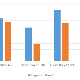 Phosphorus yield effect