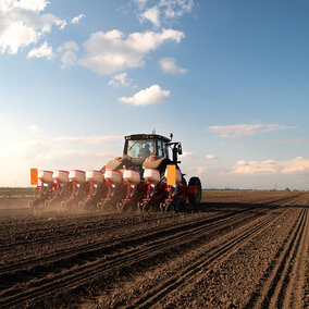 Tractor plants wheat field during bright, sunny day