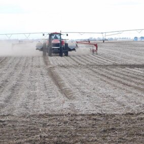 Tractor planting field