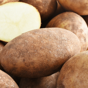 Russet potatoes in bin