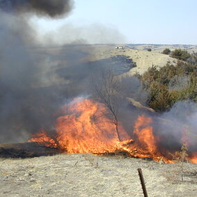 Prescribed burn on farmland