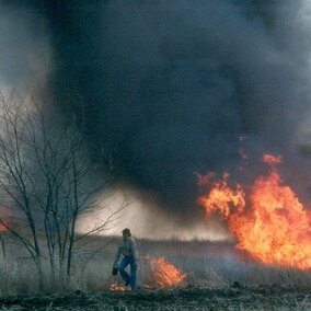 A grassland burn. Links to article Prescribed Burn School Jan. 18 at Osceola