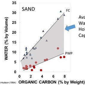 Chart depicting relationship between soil organic carbon and available water holding capacity in sandy soil.