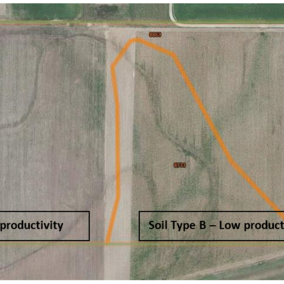 On-farm research field