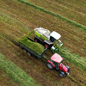 Tractor and grain truck harvesting silage