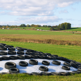 Silage pit on farm covered with tires