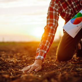 Man assessing soil in field