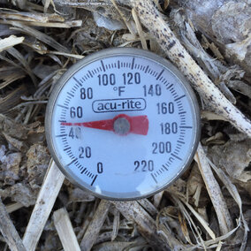 Thermometer taking temperature of residue-covered soil