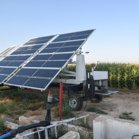 Solar panels in front of corn field