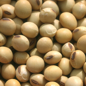 Soybeans