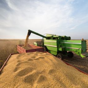 A combine unloads freshly harvested soybean into a grain cart in the middle of a field under a partly cloudy sky. The harvested field stretches into the distance, and the grain cart is nearly full of golden soybean.