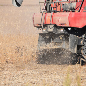 Soybean harvest residue