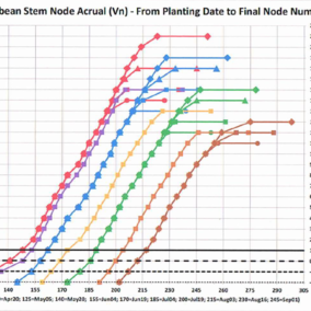 Chart showing rate of soybean node accrual