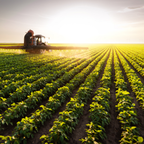 Tractor spraying herbicides on soybeans