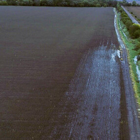 Saturated crop field with standing water in southeast Nebraska