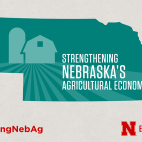 Strengthening Nebraska's Agricultural Economy. Links to full article 'A Checklist for Farm/Ranch Debt Workout'