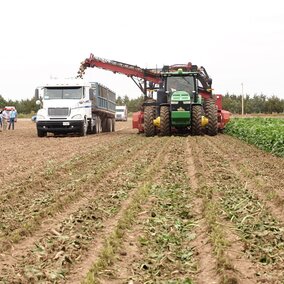 Figure 1. Representatives of the USDA Foreign Agricultural Service view sugarbeet harvest in the Nebraska Panhandle near Morrill. (Photo by Gary Stone)
