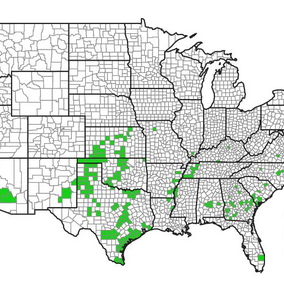 Figure 1. Counties with confirmed sugarcane aphids. Sorghum growers in southeast Nebraska are encouraged to scout for this pest.