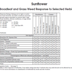 sunflower herbicide efficacy table