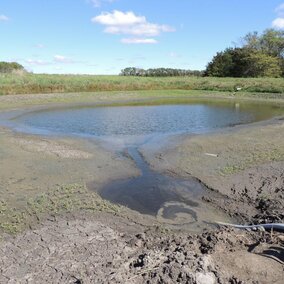 The Nebraska Extension Animal Manure Management Team will be hosting a lagoon closure demonstration Nov. 1 at the UNL Haskell Agricultural Laboratory near Concord.