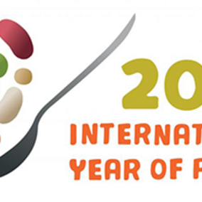 Logo showcasing 2016 International Year of the Pulse