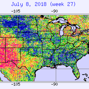 Map of vegetative health index in the Corn Belt  for July 8, 2018