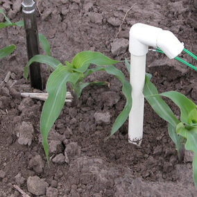 watermark sensors installed in a corn field