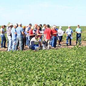 Figure 1. Amit Jhala, Extension Weed Management Specialist discussing weed control and crop safety in new multiple herbicide-tolerant soybeans.