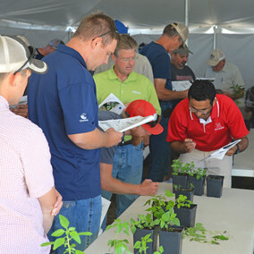 Debalin Sarangi, weed science postdoctoral research associate, describes the key identifying characteristics of broadleaf and grass weed species during weed management field day