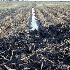 Wet soil compaction