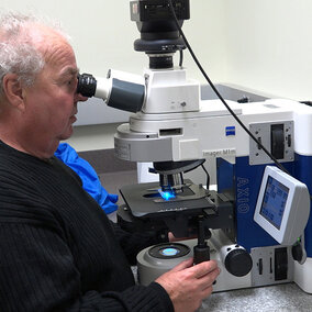 Bernd Friebe, KSU Wheat Genetics Researcher