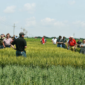 2018 Wheat Field Day at the Eastern Nebraska REC near Mead.