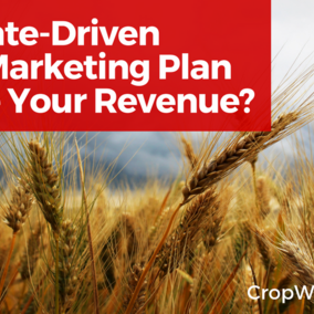 Graphic repeating the title: Will a Date-Driven Wheat Marketing Plan Improve Your Revenue?