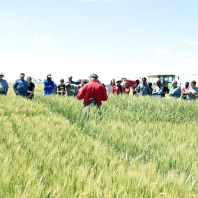 2018 wheat field day at the High Plains Ag Lab