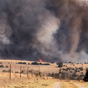 Wildfire burning across dry pastureland with flames and thick smoke rising behind a fence line in a rural landscape.