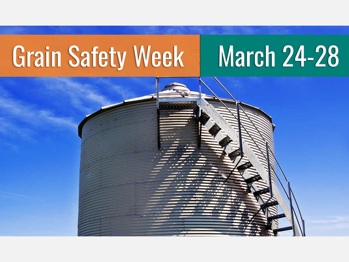 grain safety week 2025 graphic