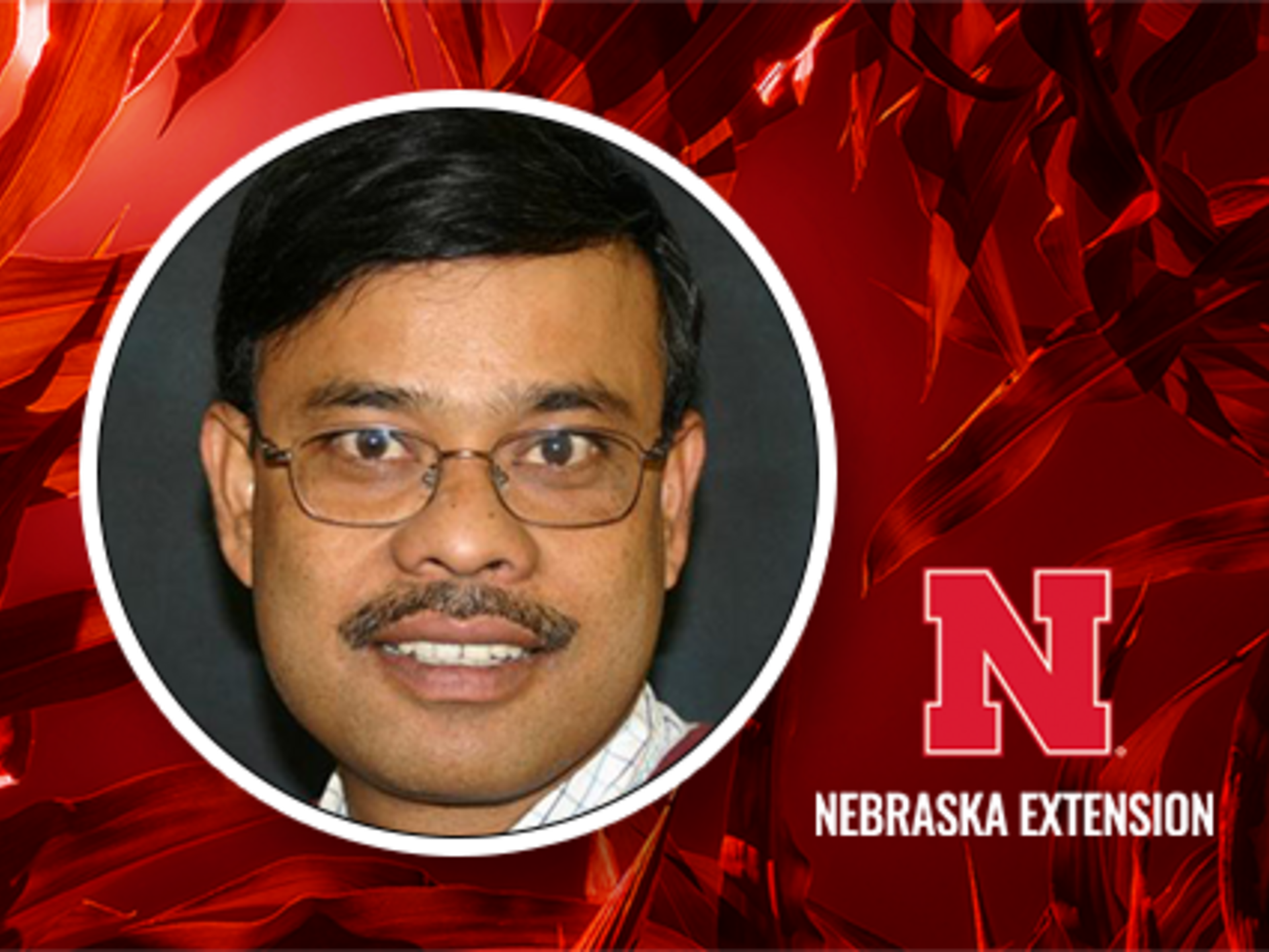 dry-bean-variety-test-results-cropwatch-nebraska